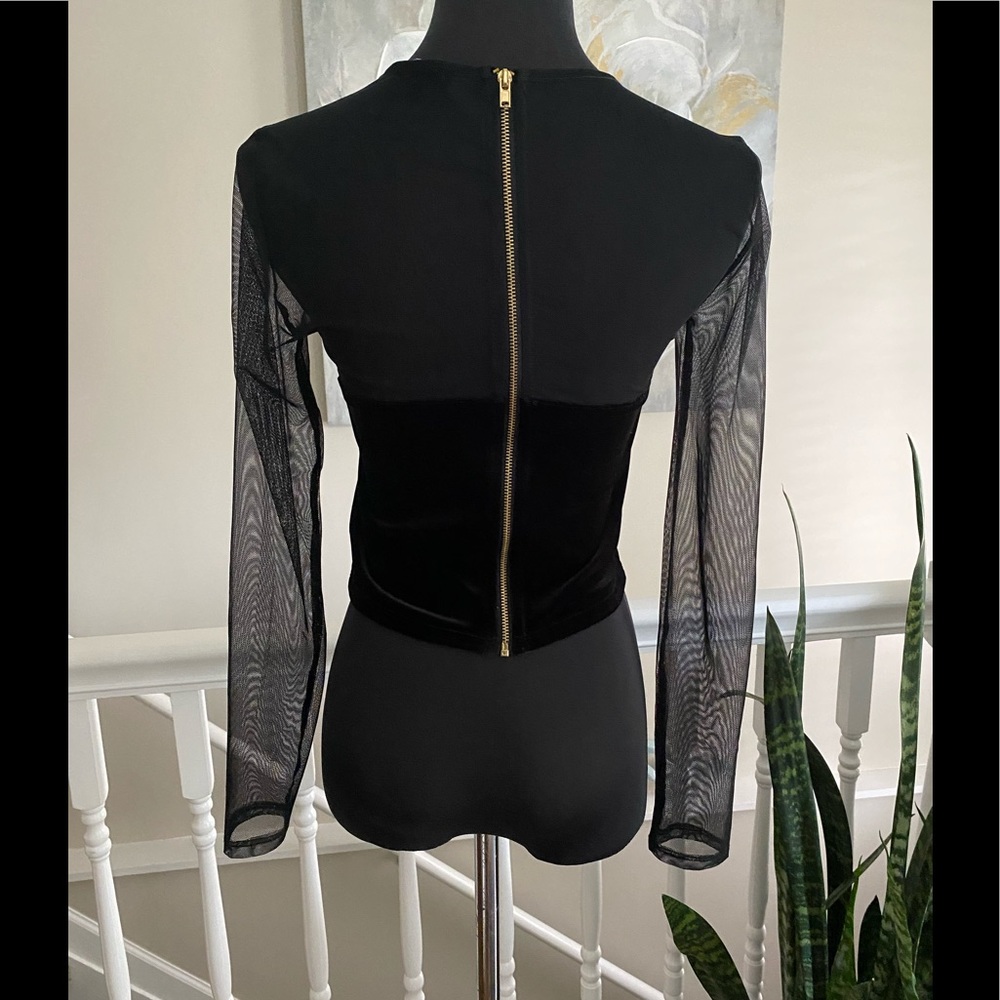 Express Black Velvet Crop Top - Picture 4 of 5